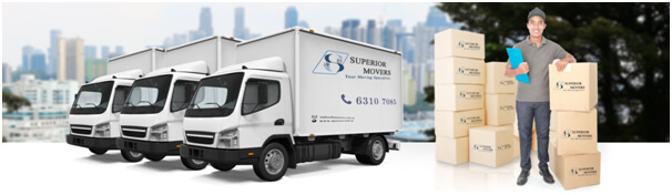 Ready transports and experienced movers to serve you