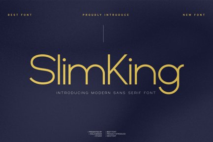 guide-slimking-login.jpg